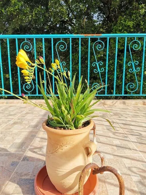 Lemon Tree Garden Near Mirtos Beach Διβαράτα