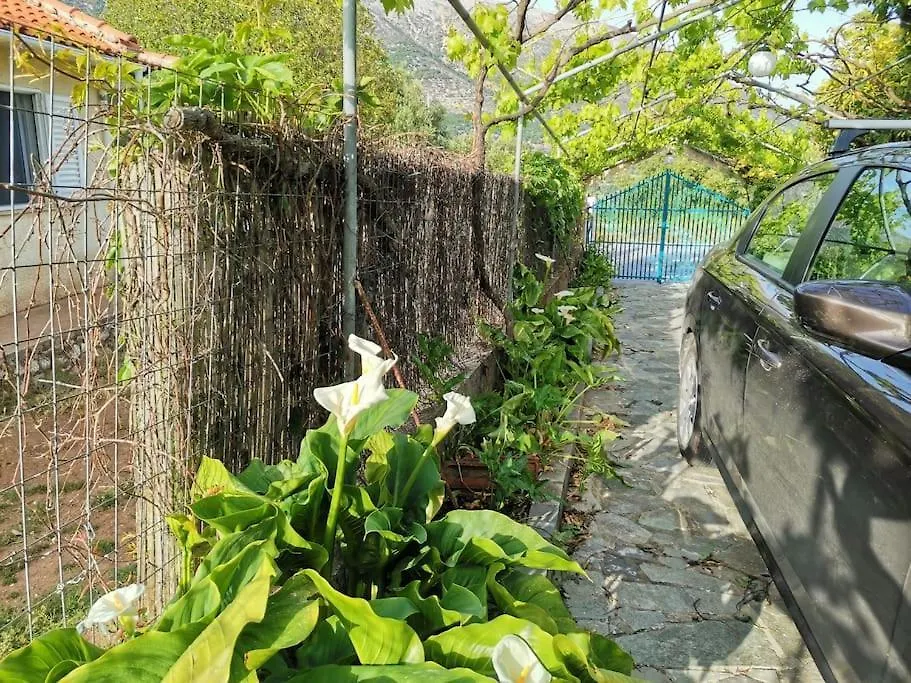 Lemon Tree Garden Near Mirtos Beach Divarata Griechenland