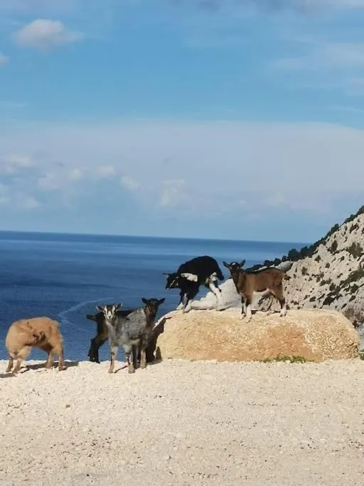 Βίλα Lemon Tree Garden Near Mirtos Beach Διβαράτα