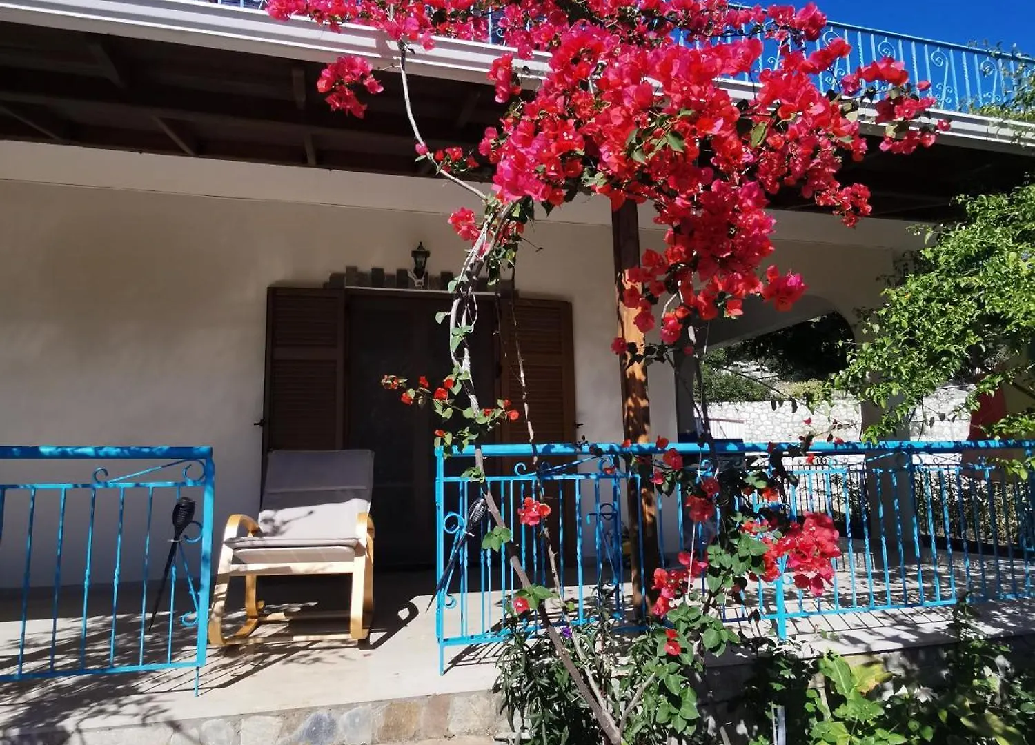 Lemon Tree Garden Near Mirtos Beach Divarata Griechenland