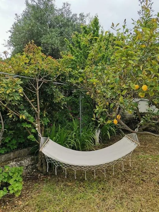 Lemon Tree Garden Near Mirtos Beach Divarata Greece