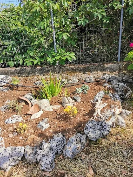 Lemon Tree Garden Near Mirtos Beach Divarata Greece